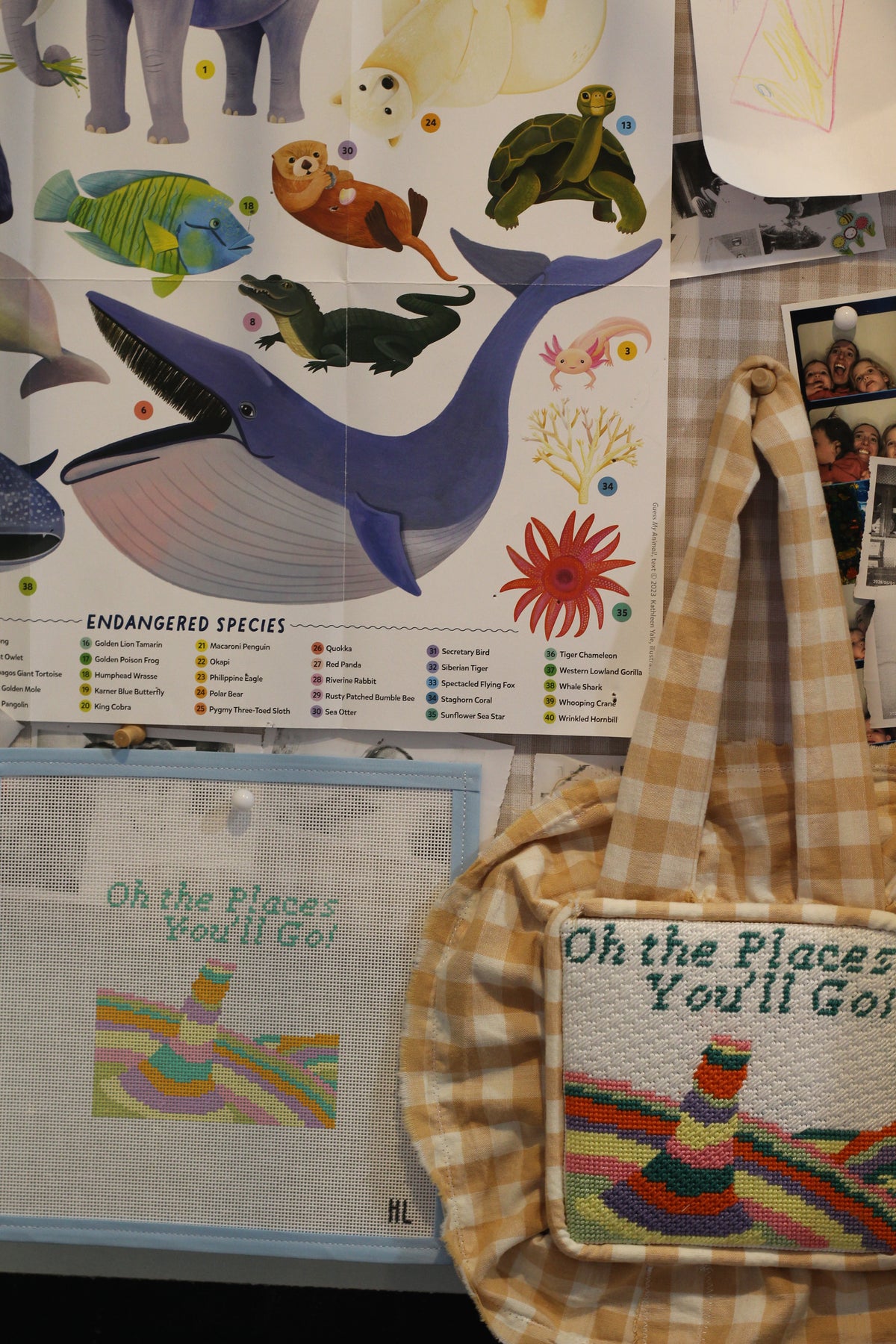 Oh, the Places You’ll Go Handpainted Needlepoint Canvas | 18 Mesh | 4x4